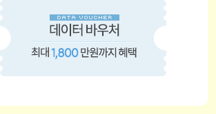 데이터 바우처